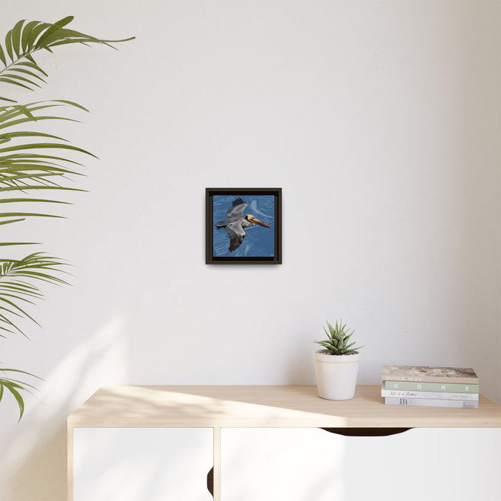 Brown Pelican: Louisiana State Bird  —  Framed Canvas Print