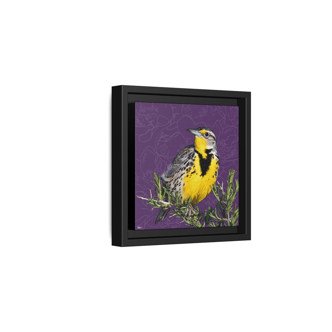 Western Meadowlark: North Dakota State Bird — Framed Canvas Print