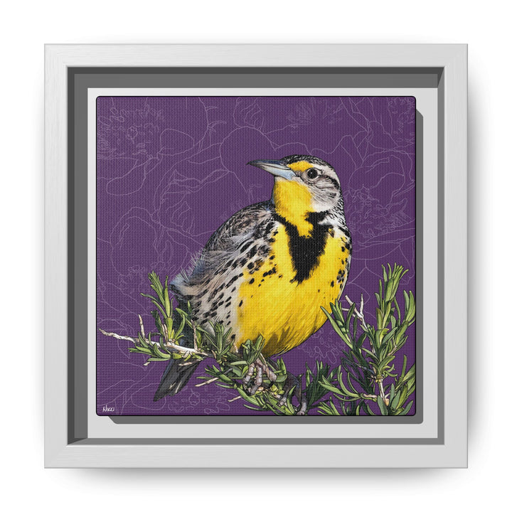 Western Meadowlark: North Dakota State Bird — Framed Canvas Print