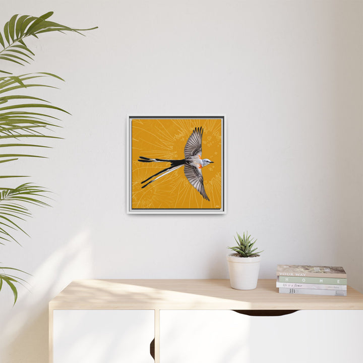 Scissor Tailed Flycatcher: Oklahoma State Bird — Framed Canvas Print Wall Art