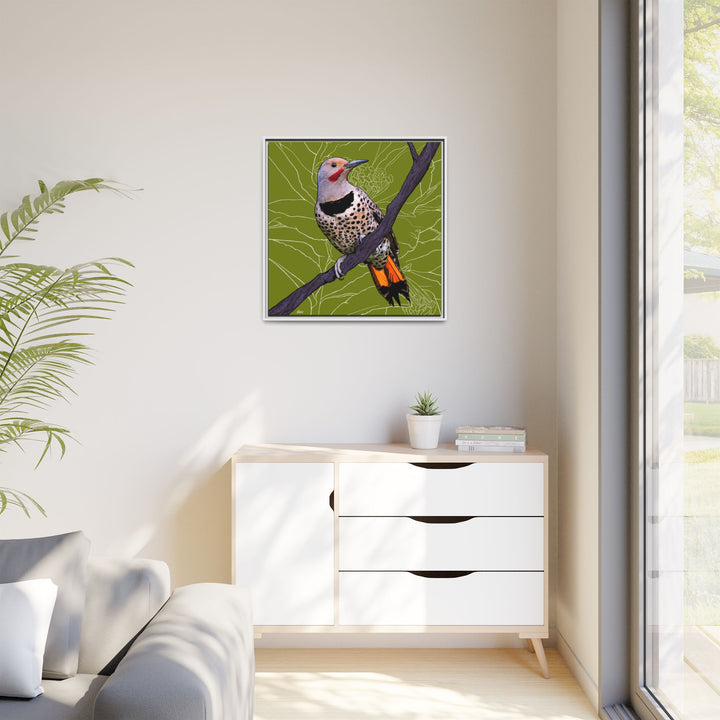 Northern Flicker (Yellowhammer): Alabama State Bird: — Framed Canvas Print Wall Art