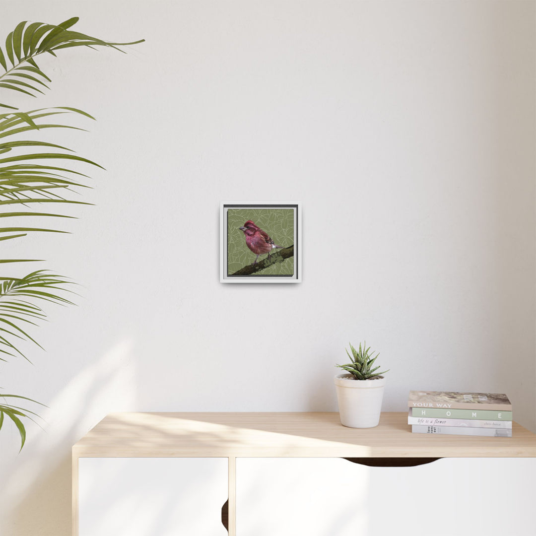 Purple Finch: New Hampshire State Bird — Framed Canvas Print Wall Art