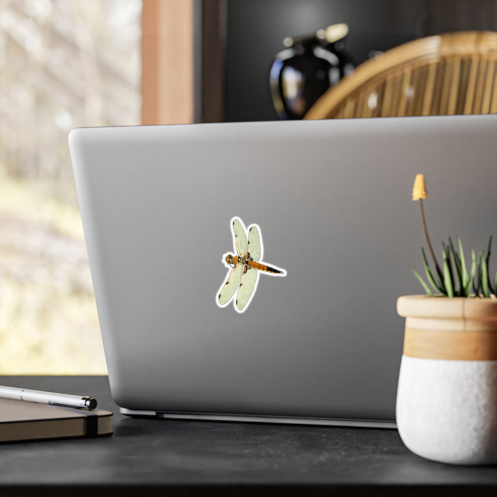 Fourspot Skimmer Dragonfly Vinyl Sticker — Kiss-Cut Waterproof Decal for Laptops, Windows & Water Bottles