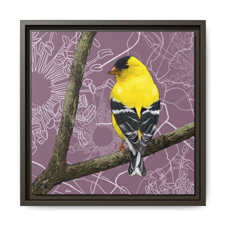 Goldfinch: Washington State Bird — Framed Canvas Print Wall Art