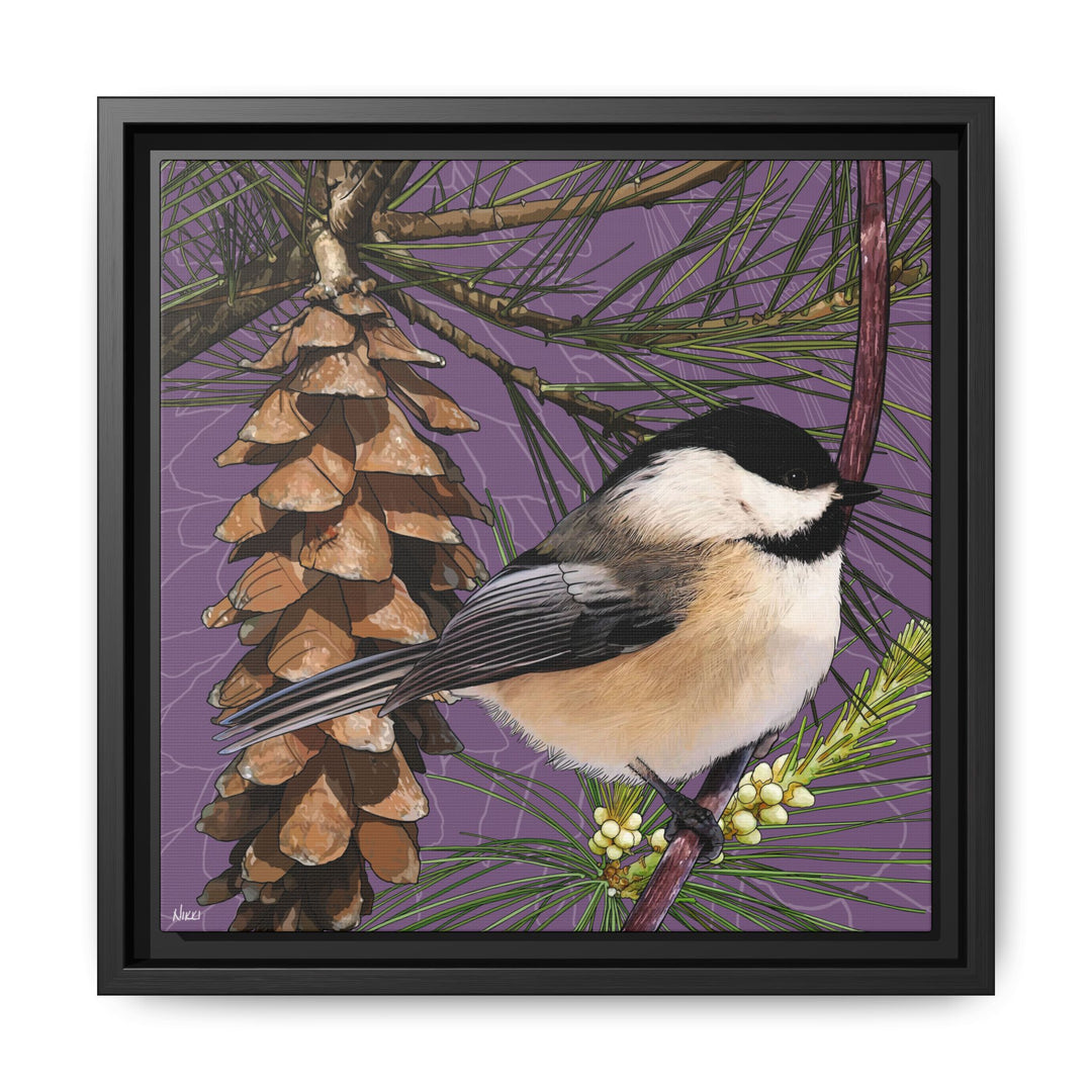 Black-capped Chickadee: Maine State Bird — Framed Canvas Print