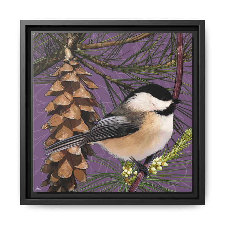 Black-capped Chickadee: Maine State Bird — Framed Canvas Print