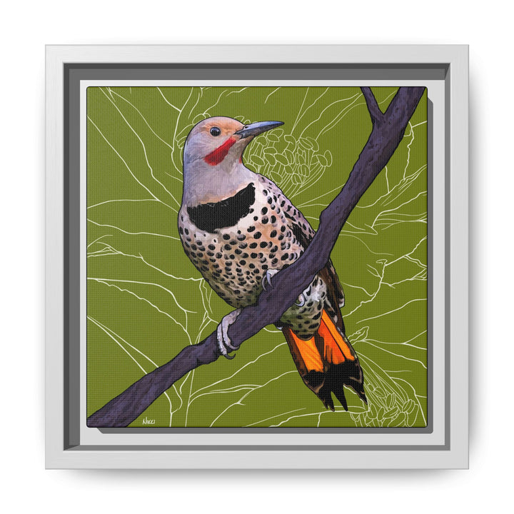Northern Flicker (Yellowhammer): Alabama State Bird: — Framed Canvas Print Wall Art