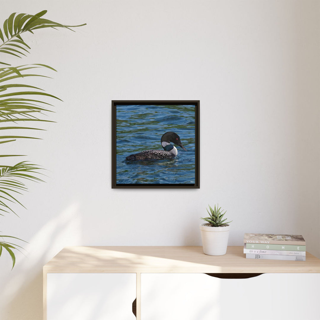 Common Loon: Minnesota State Bird — Framed Canvas Print Wall Art