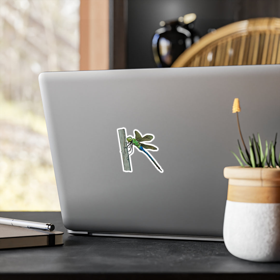 Green Darner Dragonfly Kiss-Cut Vinyl Decal — Realistic Green & Blue Insect Sticker for Laptops, Windows & Water Bottles