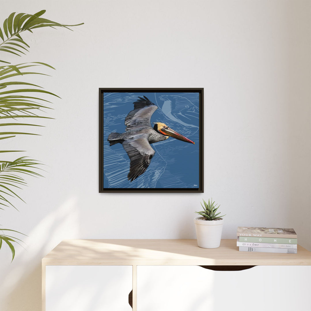 Brown Pelican: Louisiana State Bird  —  Framed Canvas Print