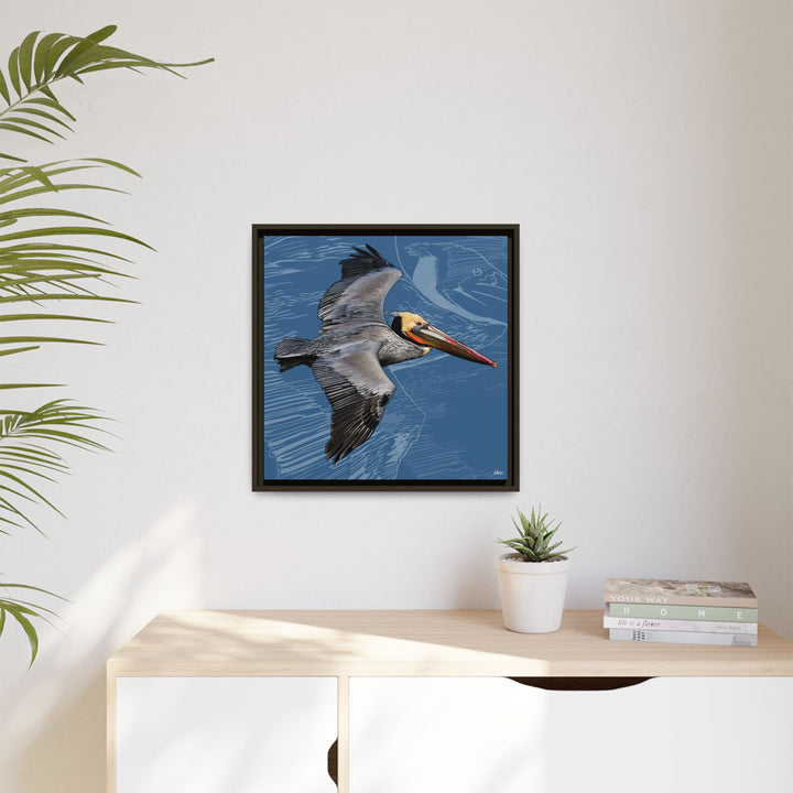 Brown Pelican: Louisiana State Bird  —  Framed Canvas Print