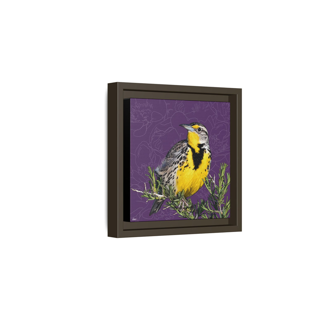 Western Meadowlark: North Dakota State Bird — Framed Canvas Print