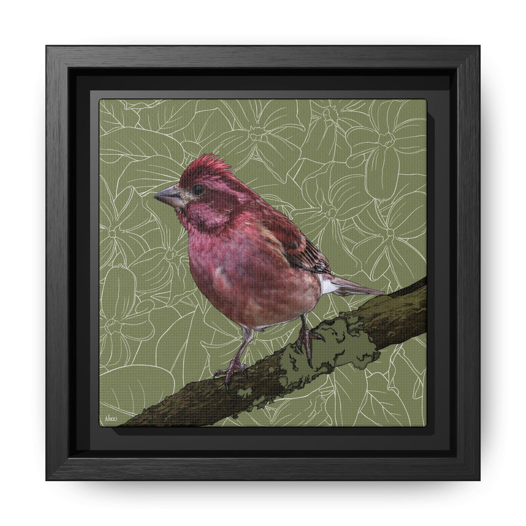 Purple Finch: New Hampshire State Bird — Framed Canvas Print Wall Art