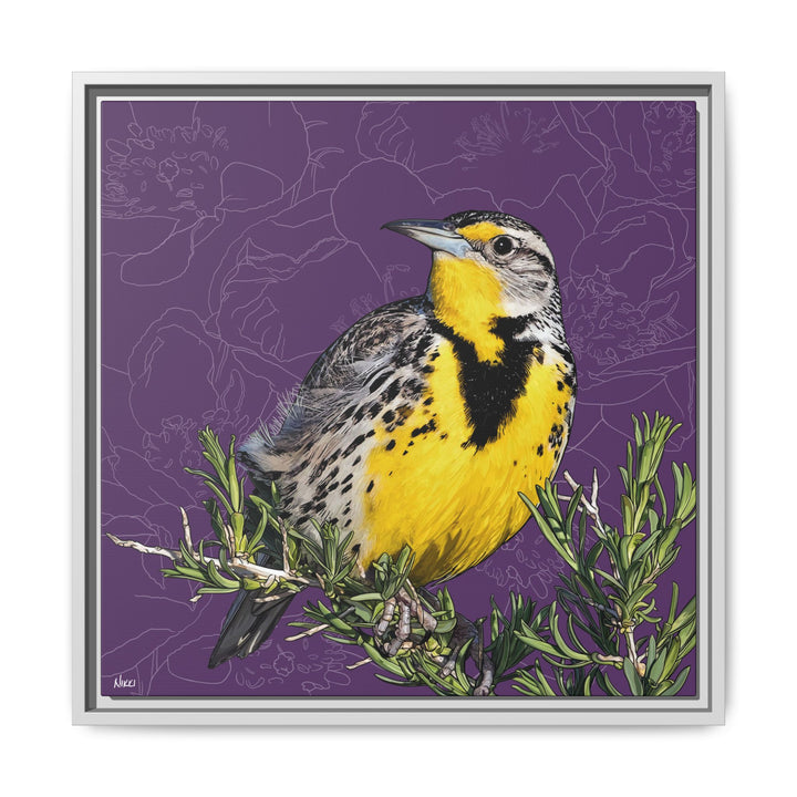 Western Meadowlark: North Dakota State Bird — Framed Canvas Print