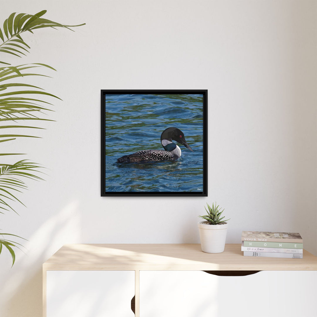Common Loon: Minnesota State Bird — Framed Canvas Print Wall Art