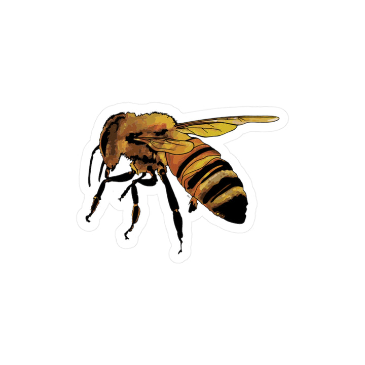 Honeybee Kiss-Cut Vinyl Decal — Realistic Bee Sticker for Laptops, Water Bottles & Windows