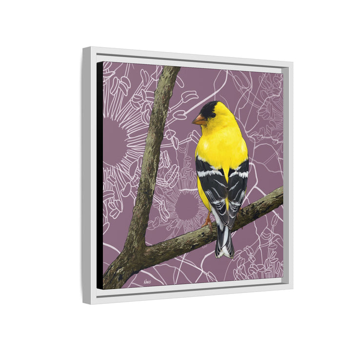 Goldfinch: Washington State Bird — Framed Canvas Print Wall Art