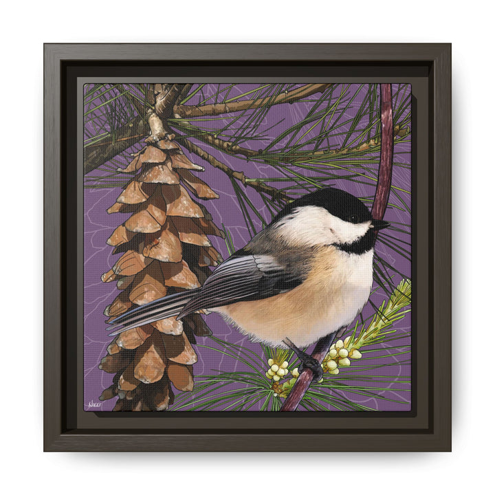 Black-capped Chickadee: Maine State Bird — Framed Canvas Print