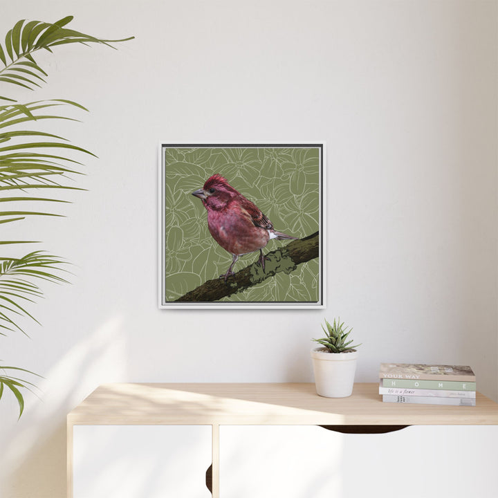 Purple Finch: New Hampshire State Bird — Framed Canvas Print Wall Art