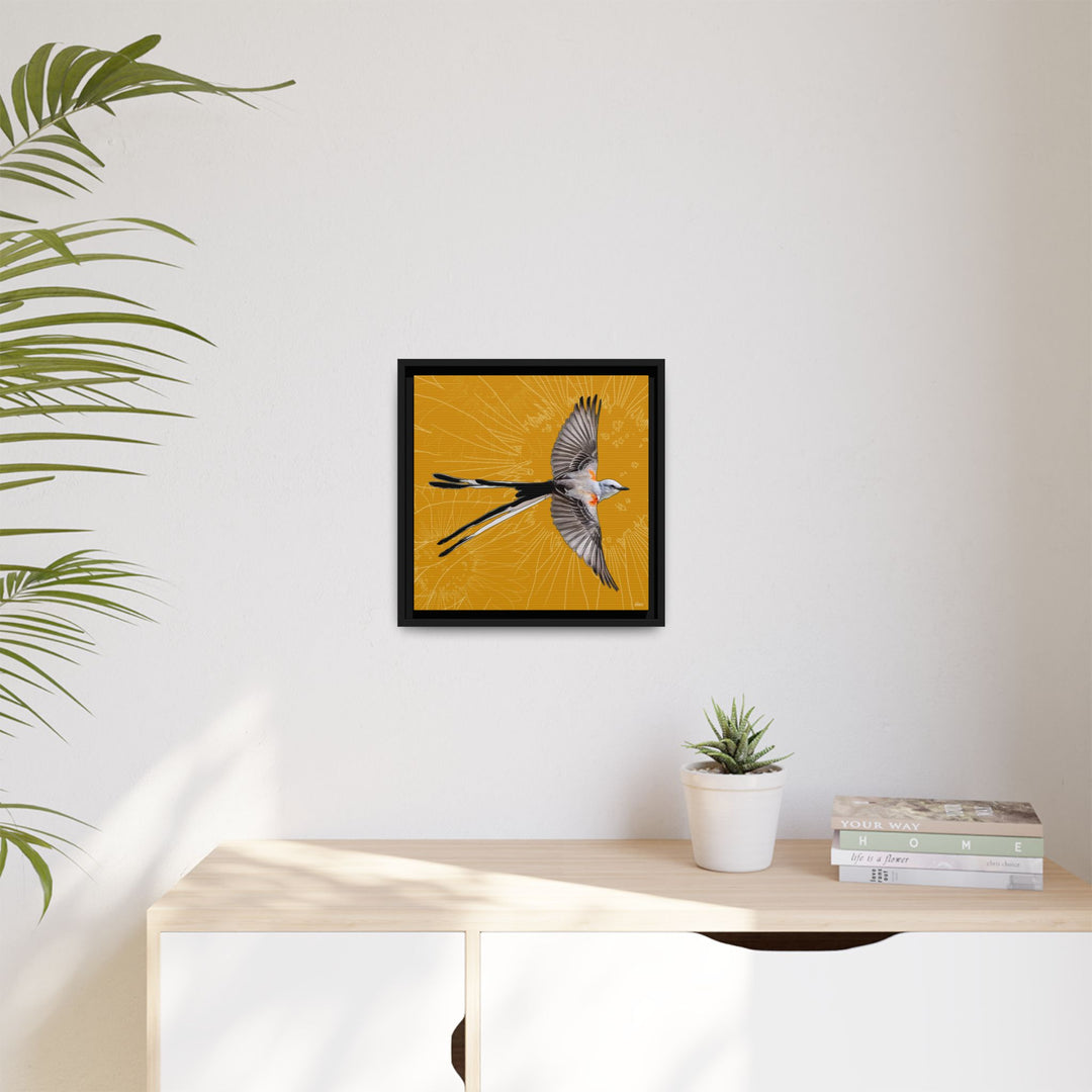 Scissor Tailed Flycatcher: Oklahoma State Bird — Framed Canvas Print Wall Art