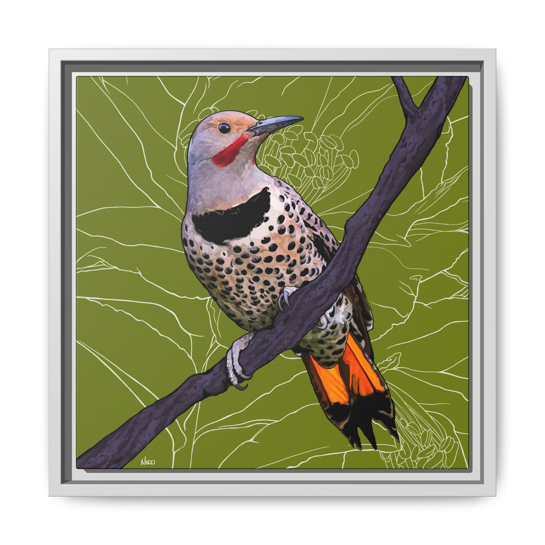 Northern Flicker (Yellowhammer): Alabama State Bird: — Framed Canvas Print Wall Art