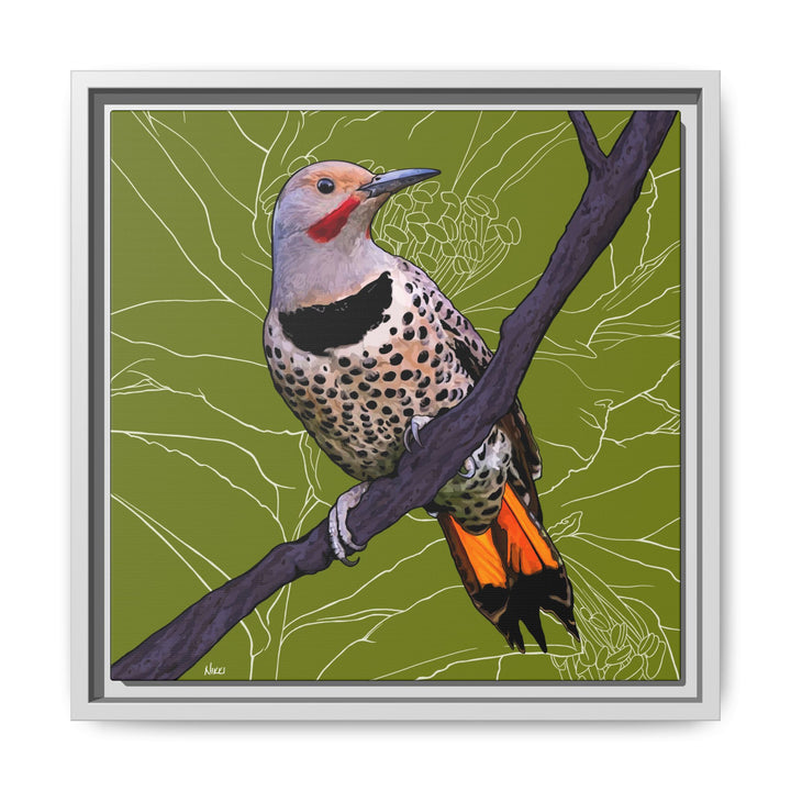 Northern Flicker (Yellowhammer): Alabama State Bird: — Framed Canvas Print Wall Art