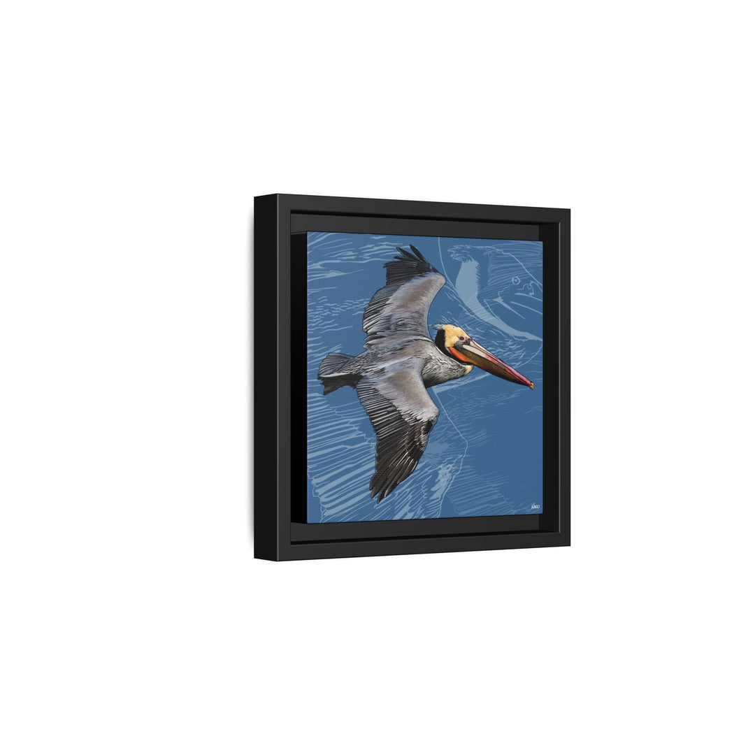 Brown Pelican: Louisiana State Bird  —  Framed Canvas Print