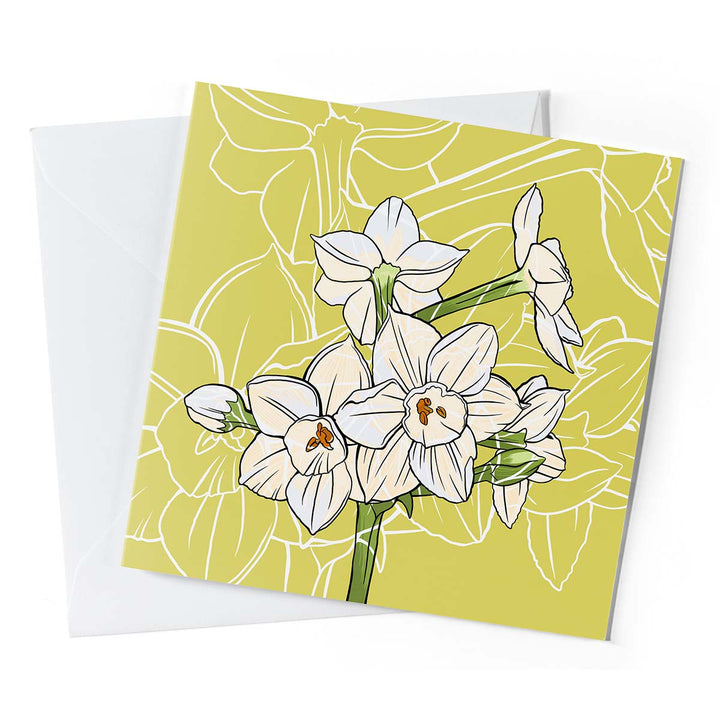 Birth Month Flower Greeting Cards – Pack of 10 | December: Paperwhite Narcissus