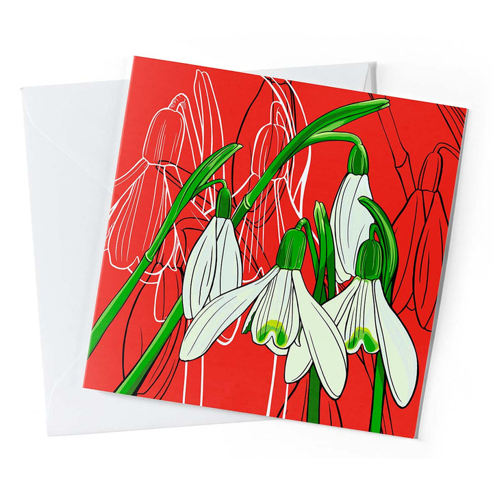 Birth Month Flower Greeting Cards – Pack of 10 | January: Snowdrop