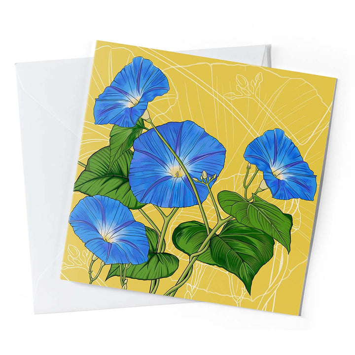 Birth Month Flower Greeting Cards – Pack of 10 | September: Morning Glories