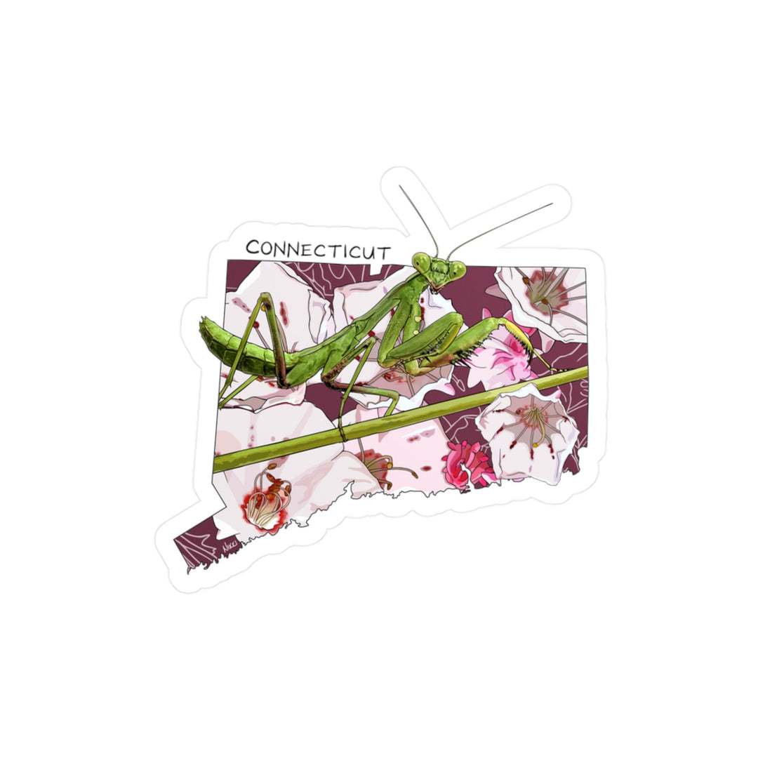 Praying mantis on a Connecticut-shaped card with floral design