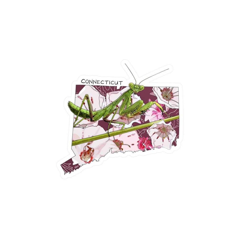 Mantis on a map of Connecticut with floral design