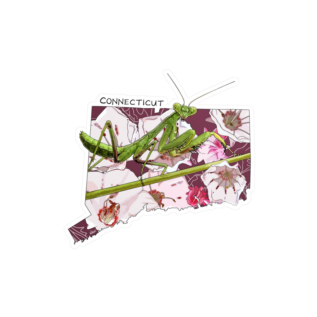 Mantis on a map of Connecticut with floral design