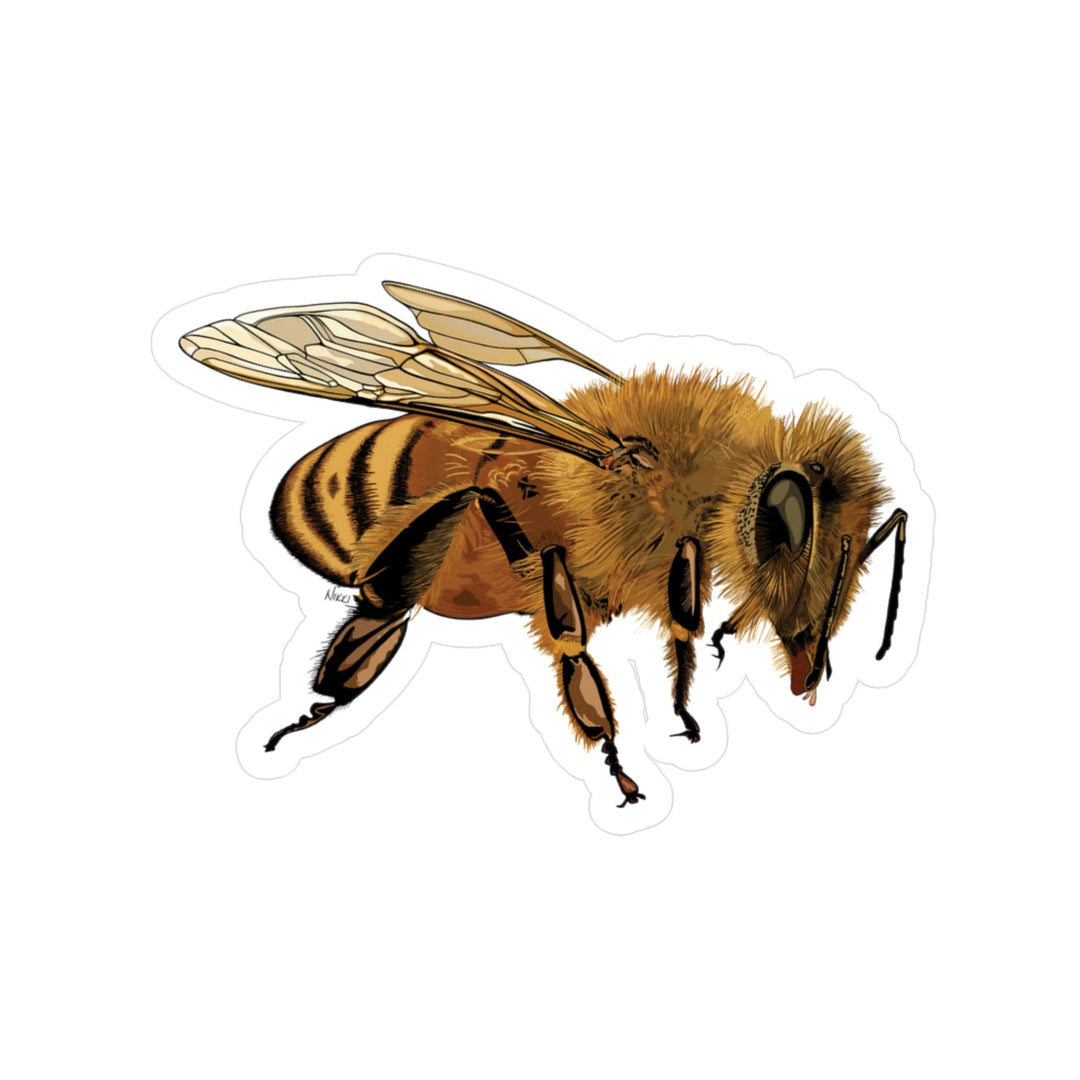 Illustration of a bee