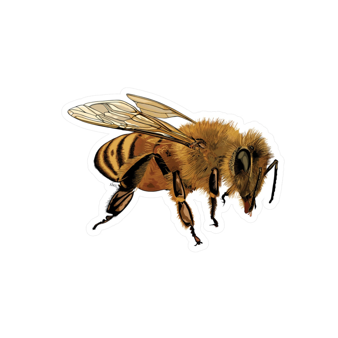 Illustration of a bee on a white background