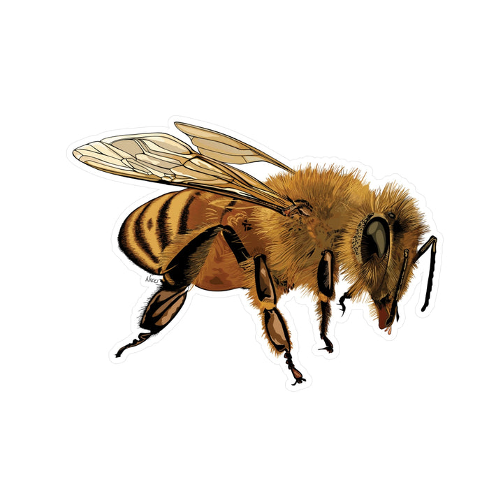 Illustration of a bee on a white background