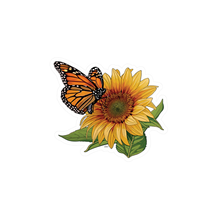 Monarch butterfly on a sunflower with green leaves on a white background