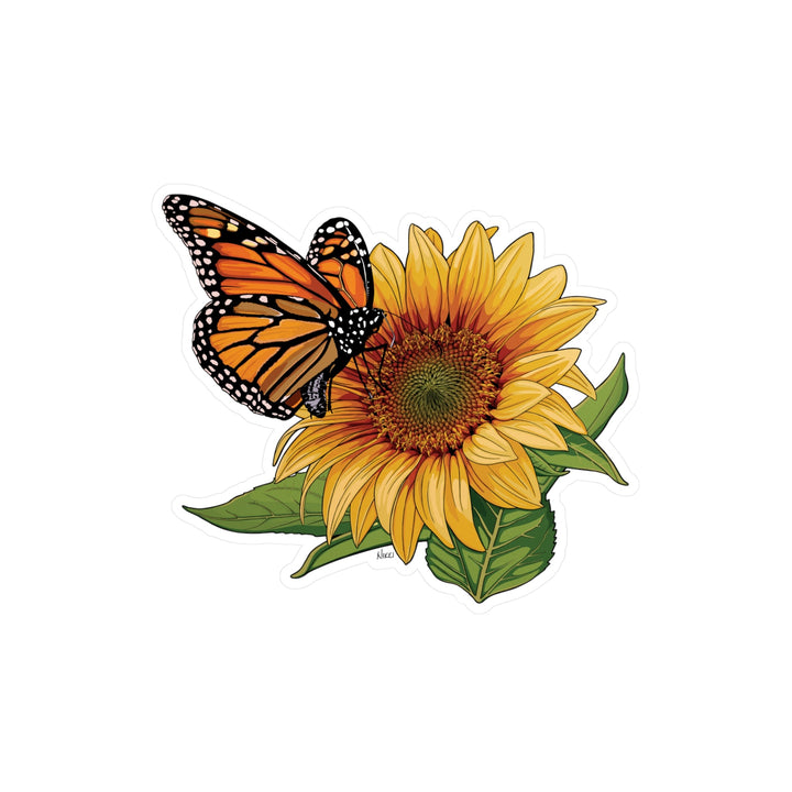Sunflower with a butterfly on a white background
