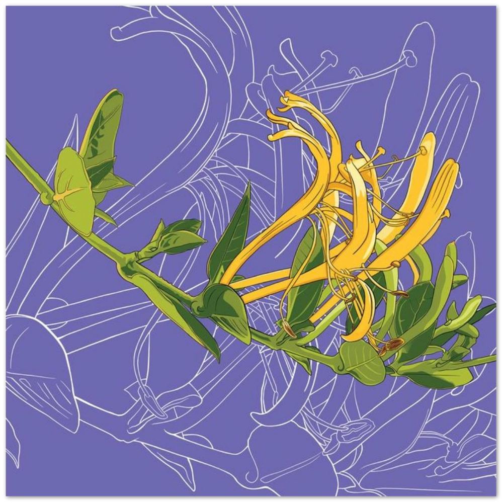 f2e98a87-f872-439a-a874-cad95c2a5ed4